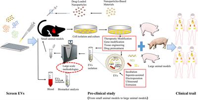 Extracellular vesicles mediate biological information delivery: A double-edged sword in cardiac remodeling after myocardial infarction